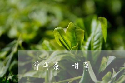 普洱茶 甘草/2023042853626